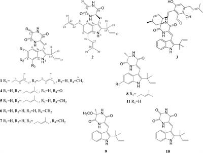 Indole Diketopiperazine Alkaloids Isolated From the Marine-Derived Fungus Aspergillus chevalieri MCCC M23426